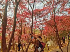 -崂山巨峰游览区