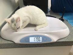 -萌兽医馆·绝育·24小时内科·宠物医院(德胜店)