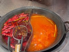 -朱光玉火锅馆(龙阳广场店)