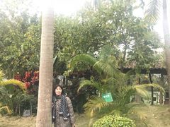 -北海金海湾红树林生态旅游区