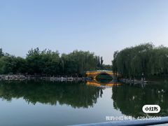 -大兴滨河森林公园