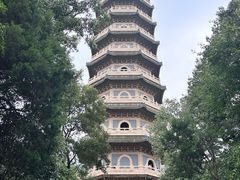 -灵谷景区