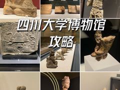 -四川大学博物馆