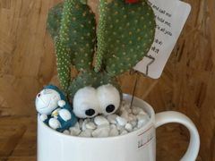 -Blueglass酸奶(财富购物中心店)