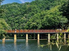 -洛阳白云山景区