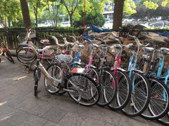 -美利达自行车和平里旗舰店