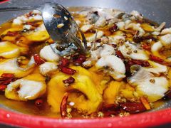 蜀龙阁水煮鱼-雲蜀龙阁·金牌水煮鱼(方庄店)