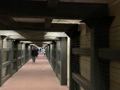 -奶酪魏(牛街总店)