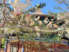 -潭柘寺景区