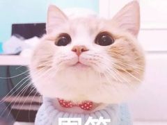 -阿玲面线糊(溪岸路店)