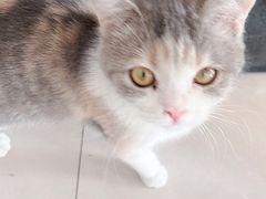-平行世界·猫咖(首经贸店)