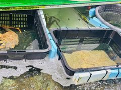 -無招牌海鮮(芽笼店)