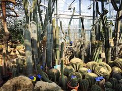 -国家植物园南园