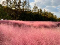 -嘉北郊野公园