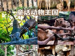 -长鹿旅游休博园