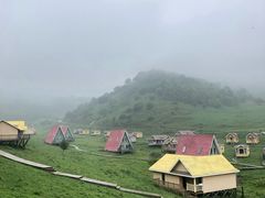 -关山草原