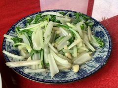 小白菜-生态苑农庄(十里画廊遇龙河店)