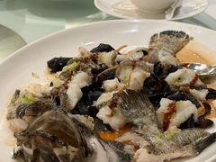 -利苑酒家(金宝店)