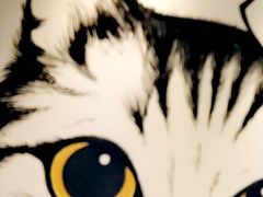 -猫友咖啡店(玉林西路店)