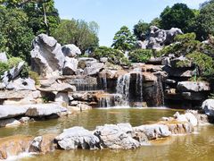 -东莞植物园