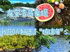 -李东农庄(中南百草园地标店)