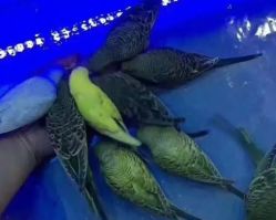 -未来动物城动物主题公园(大悦城店)