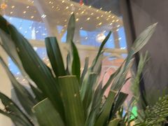 -天山传奇新疆菜(SKLP店)