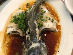 清蒸石斑鱼-巽寮印象美食部落餐厅·海鲜·地方特色菜(惠州体验店)