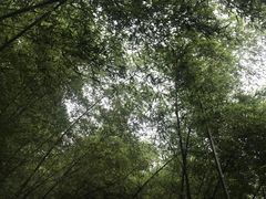-海兰云天度假区温泉