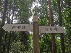 -火炉山森林公园