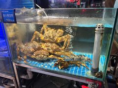 -77号渔船·蒸海鲜青岛菜(积米崖店)