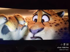 -万达影城(保定万博广场激光IMAX店)