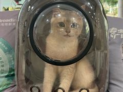 -御宝贝24h宠物医院·转诊中心·CT核磁血透中心(厦门总院)