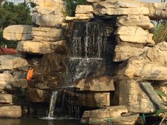 -羊亭河湿地公园