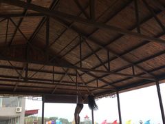 -南戴河国际娱乐中心