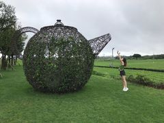 -雪绿茶博物馆