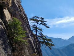 -陕西省红河谷森林公园