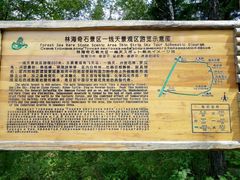 -汤旺河林海奇石景区