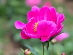 -合肥三国新城遗址公园