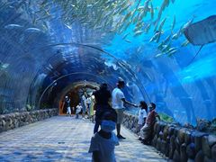 -华夏文旅海洋公园