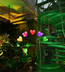 -恐龙探索乐园(磁器口店)