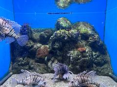 -大连老虎滩海洋公园