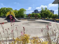 -新江湾城公园