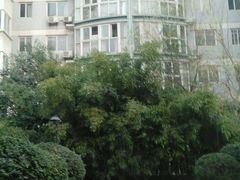 -茶肆(袁家村店)