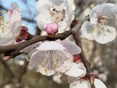 -美达尔烧烤海鲜家常菜(泰山路店)