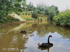 -三岔湖环球融创天堂洲际酒店水乐园