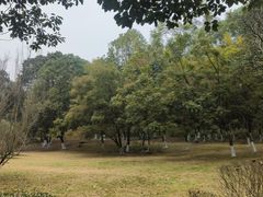 -富乐山
