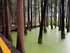 -云龙湖旅游景区