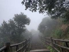 -银瓶嘴森林公园