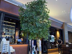 -同仁四季椰子鸡(宝安壹方城店)